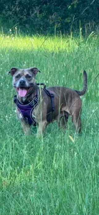 Precious