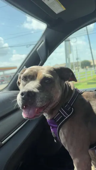 Precious