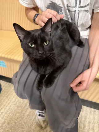 Darkness