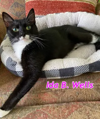 Ida B Wells