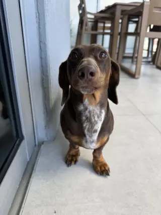 Mylo (in Miami, FL)