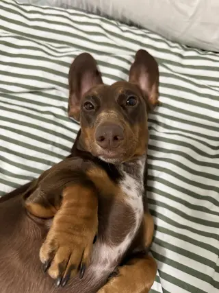 Mylo (in Miami, FL)