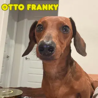 Otto Franky