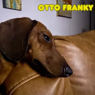Otto Franky