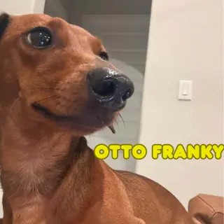 Otto Franky