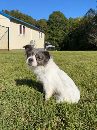 Allie Sep 26