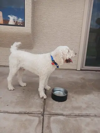 Atlas
