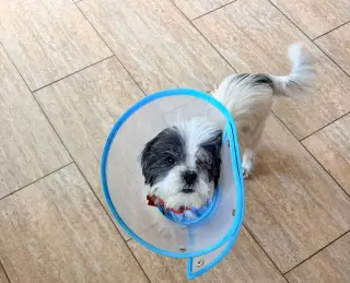 Doug