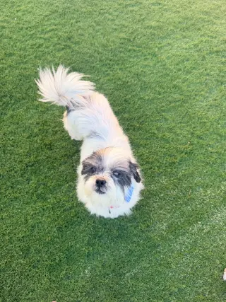 Doug