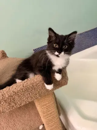Rita