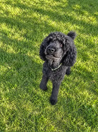 Jake Sep 26