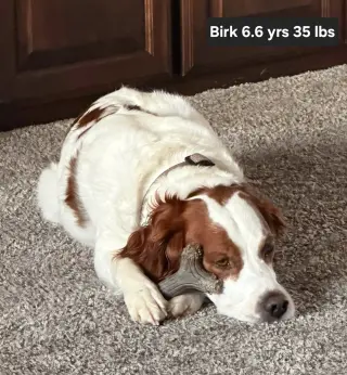 OK/Birk