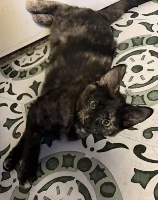 Winky