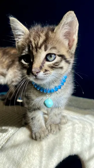 Billy