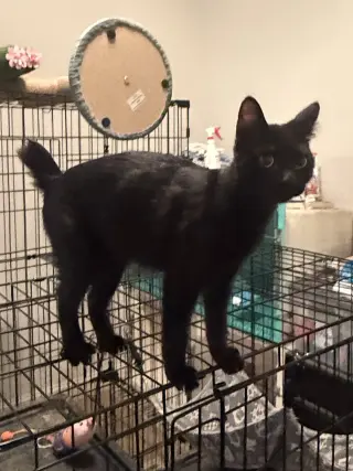 Kunani