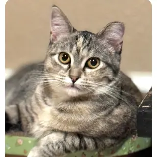 Marble