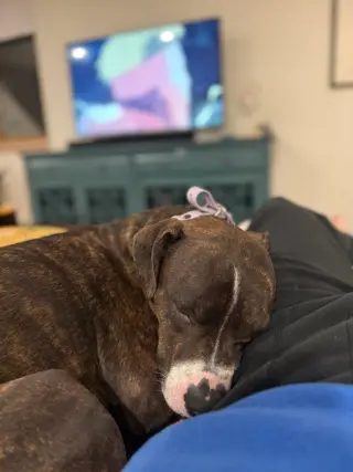Charlie