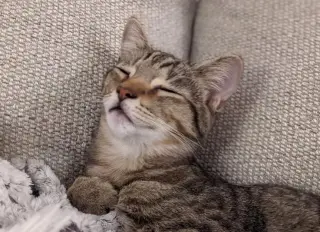 Calypso (bonded w/ Poseidon)