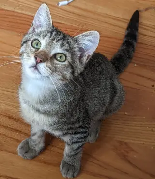 Calypso (bonded w/ Poseidon)