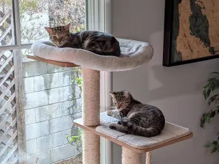 Poseidon (bonded w/ Calypso)