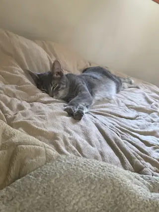 Monty / Mason