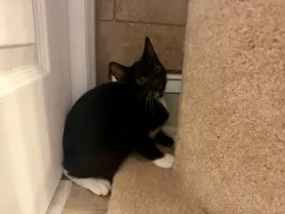 Tina