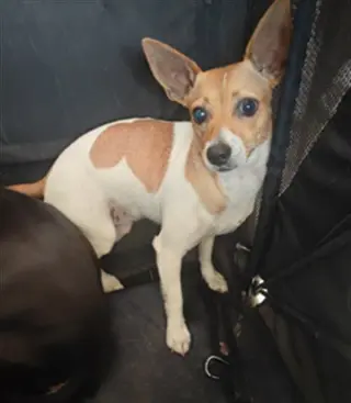 LULU