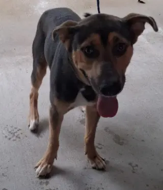 RUFUS