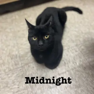 Midnight