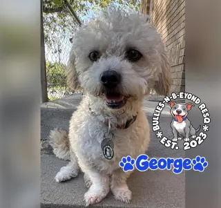 George