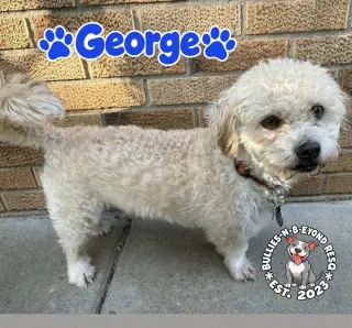 George