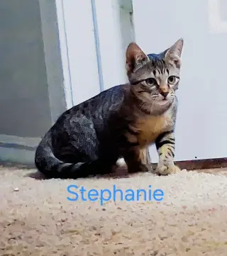 Stephanie