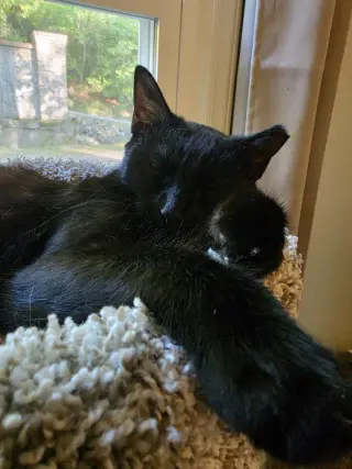 Luna