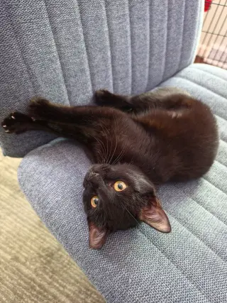Luna