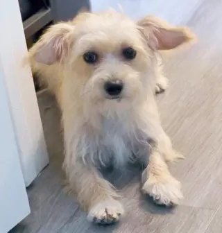 Zoey