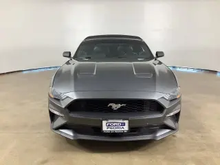 Ford Mustang 2019 EcoBoost Premium 2dr Convertible