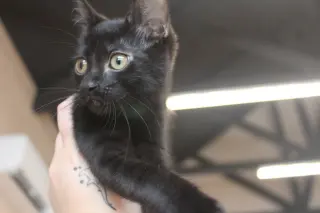 Eureeka