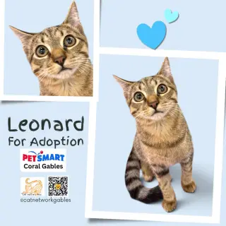 Leonard