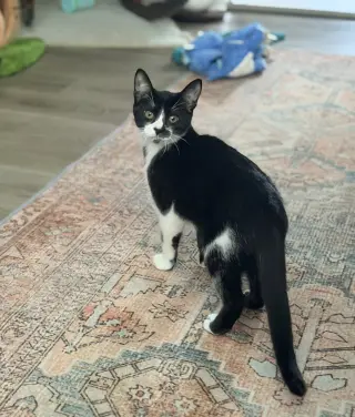 Marley