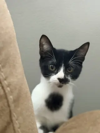 Marley