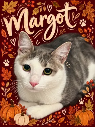 Margot (FCID# 06/11/2026 - 25 Middletown PS)
