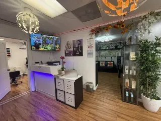 RENT O COMISION HAIR & ROOM