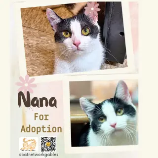 Nana