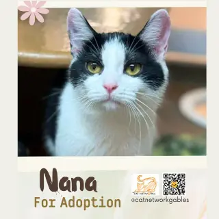 Nana