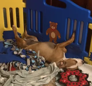 Benny