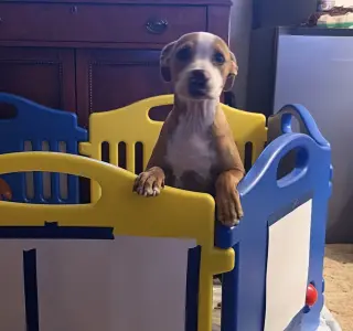 Benny