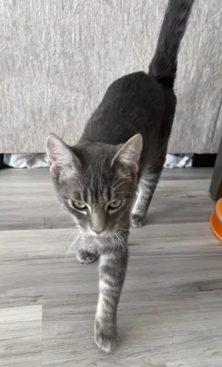 Jack
