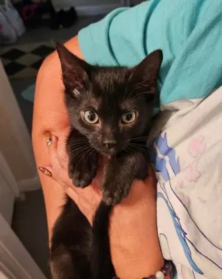 Diego