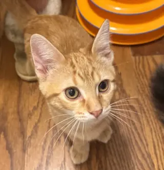 Tucker Finn