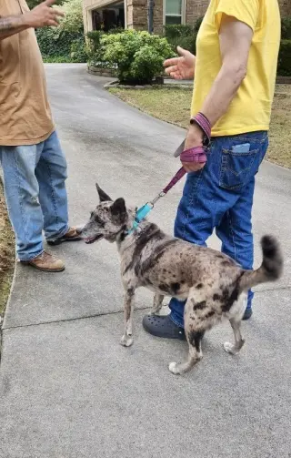 Luna